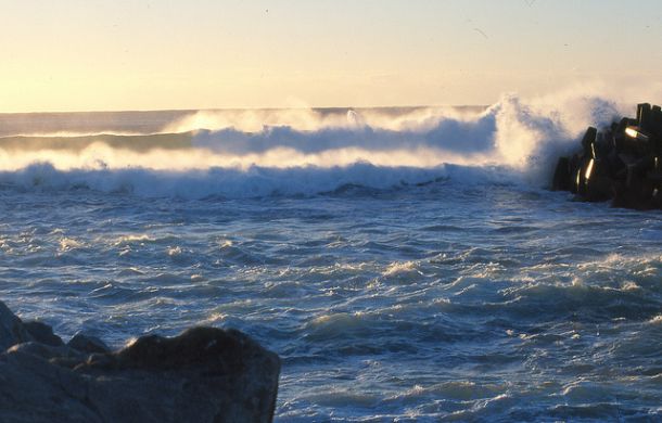 Pic: Mick Fletoridis